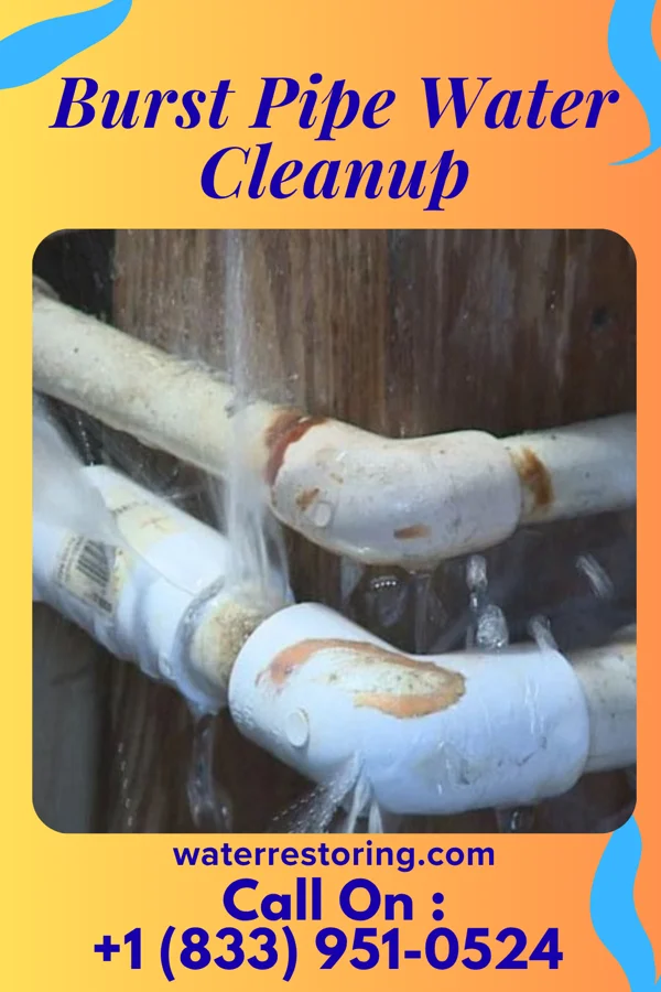 Burst Pipe Water Cleanup in Frisbee, MO