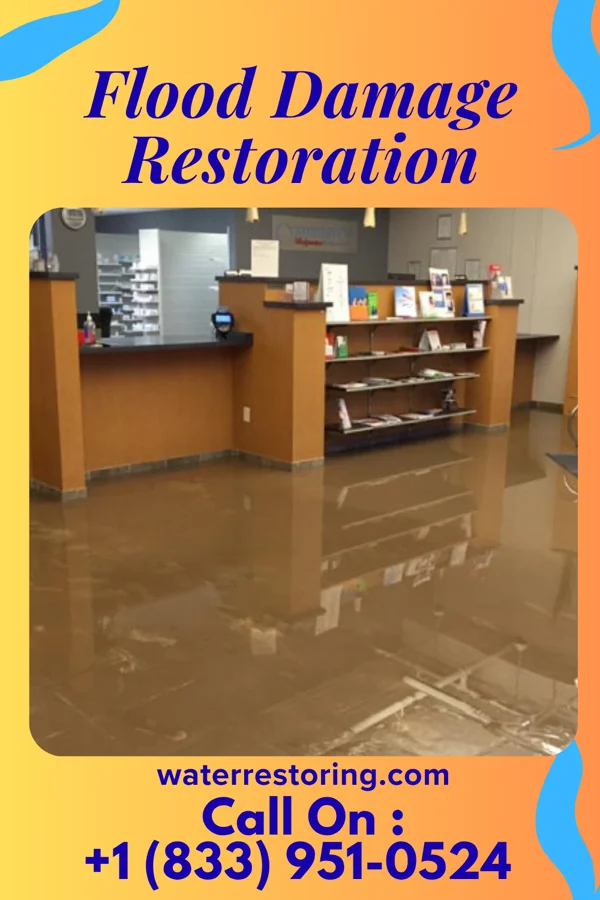 Flood Damage Restoration in Frisbee, MO
