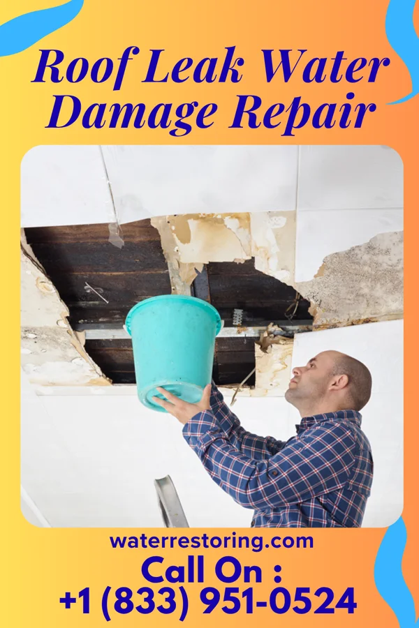 Roof Leak Water Damage Repair in Frisbee, MO