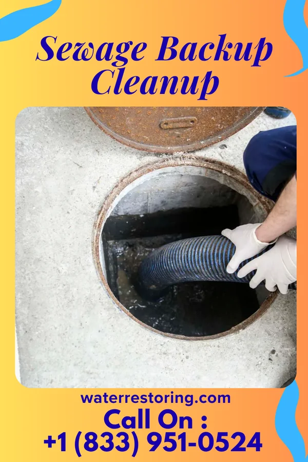 Sewage Backup Cleanup in Frisbee, MO