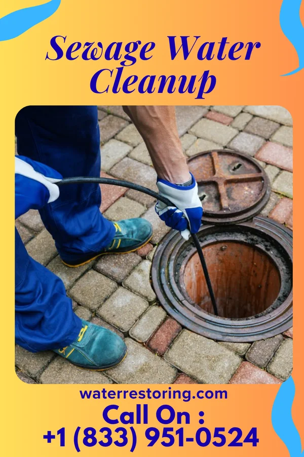 Sewage Water Cleanup in Frisbee, MO