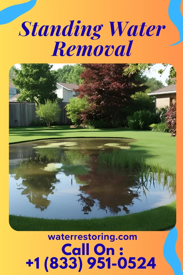 Standing Water Removal in Frisbee, MO